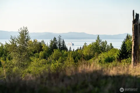 405 Elk Run Trail
