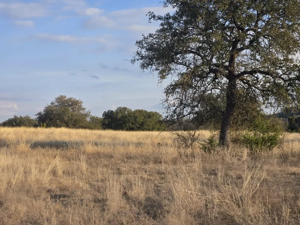 Yosemite Drive Oglesby, TX 76561