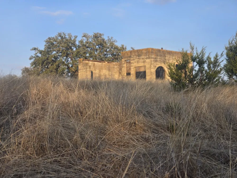 Yosemite Drive Oglesby, TX 76561