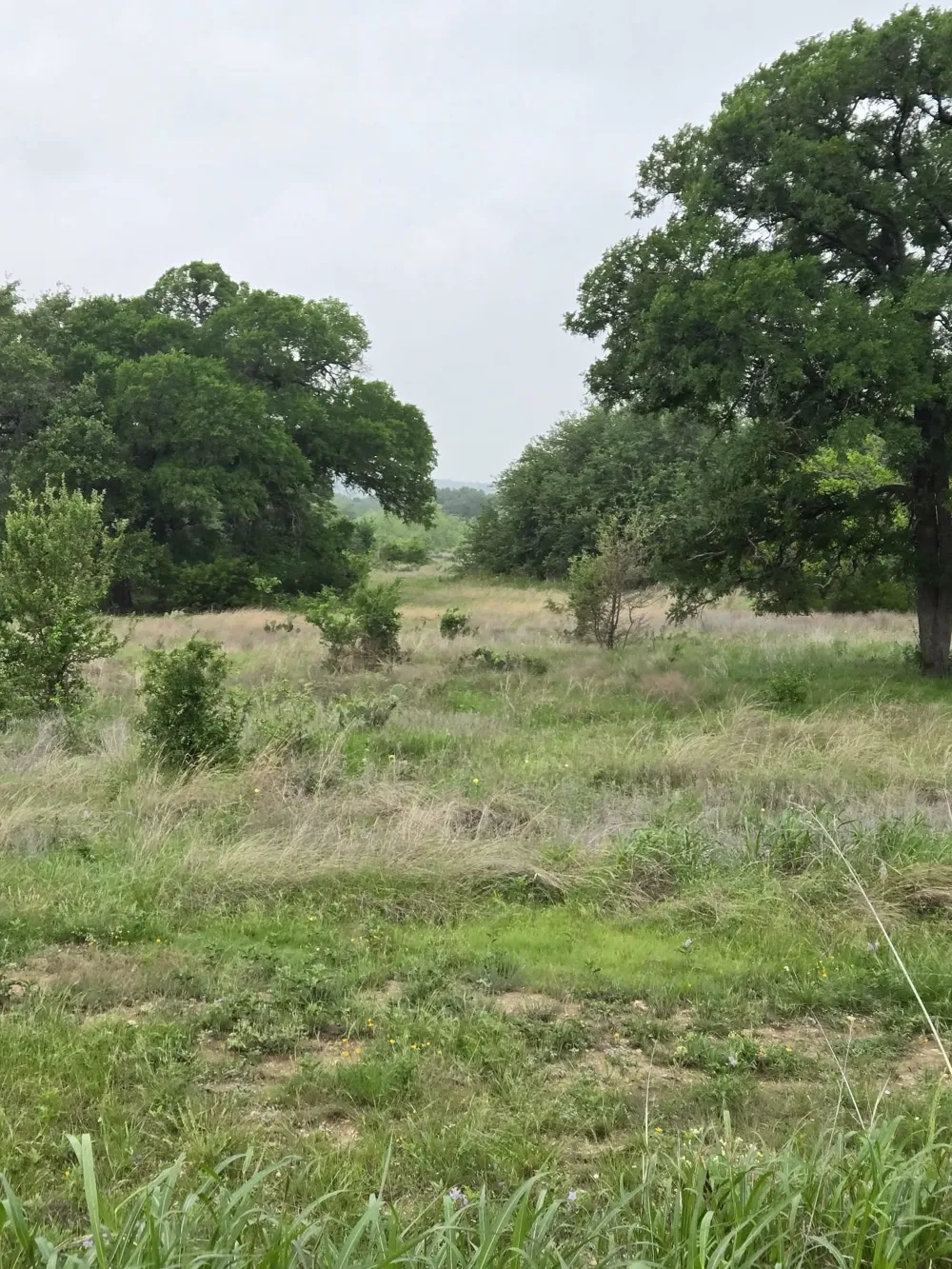 Yosemite Drive Oglesby, TX 76561