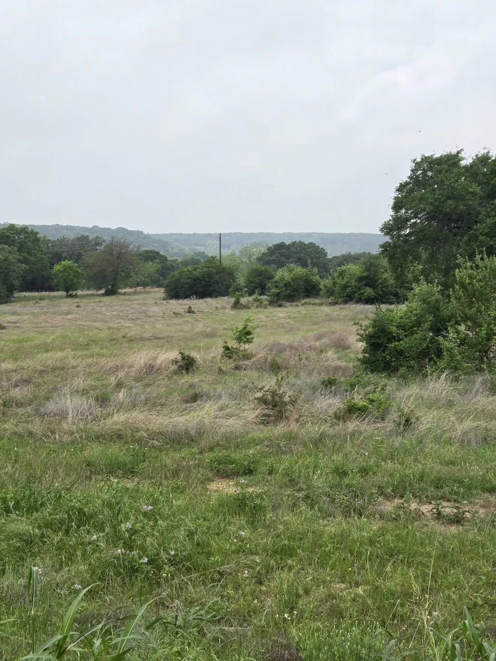 Yosemite Drive Oglesby, TX 76561