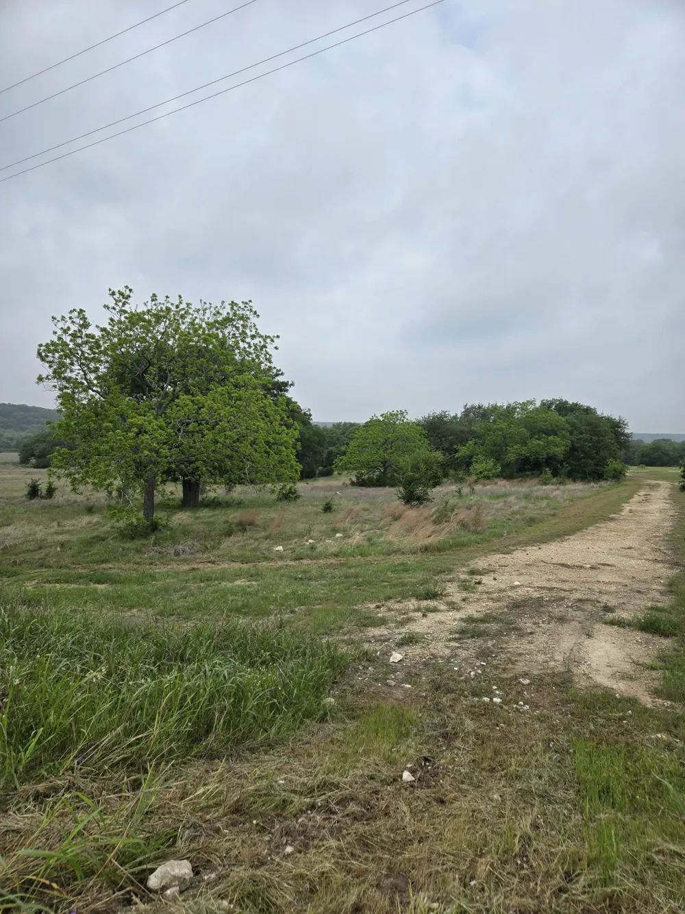 Yosemite Drive Oglesby, TX 76561