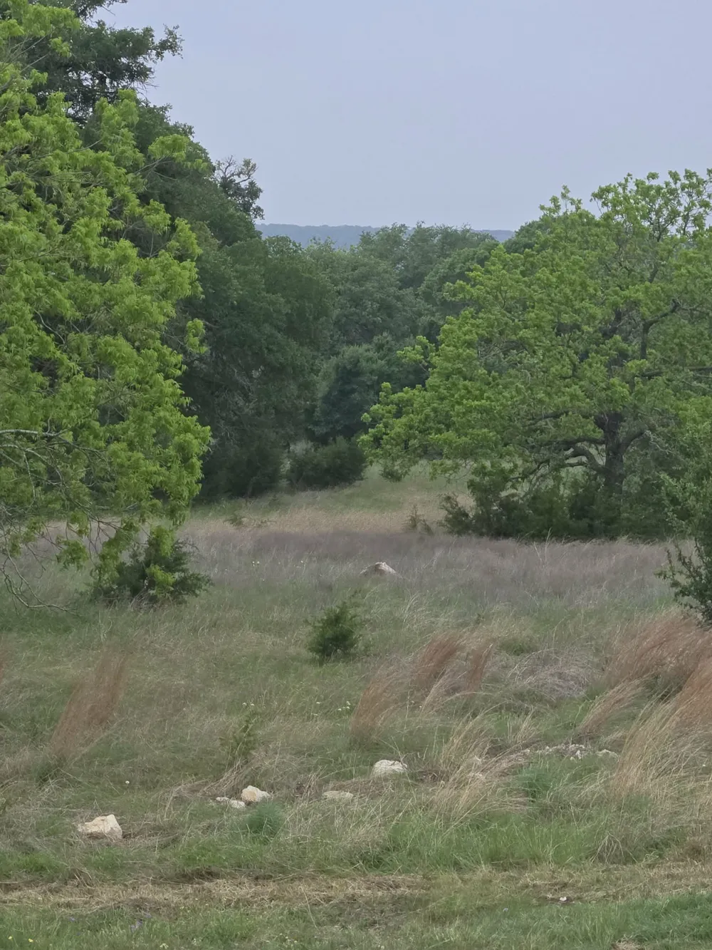 Yosemite Drive Oglesby, TX 76561