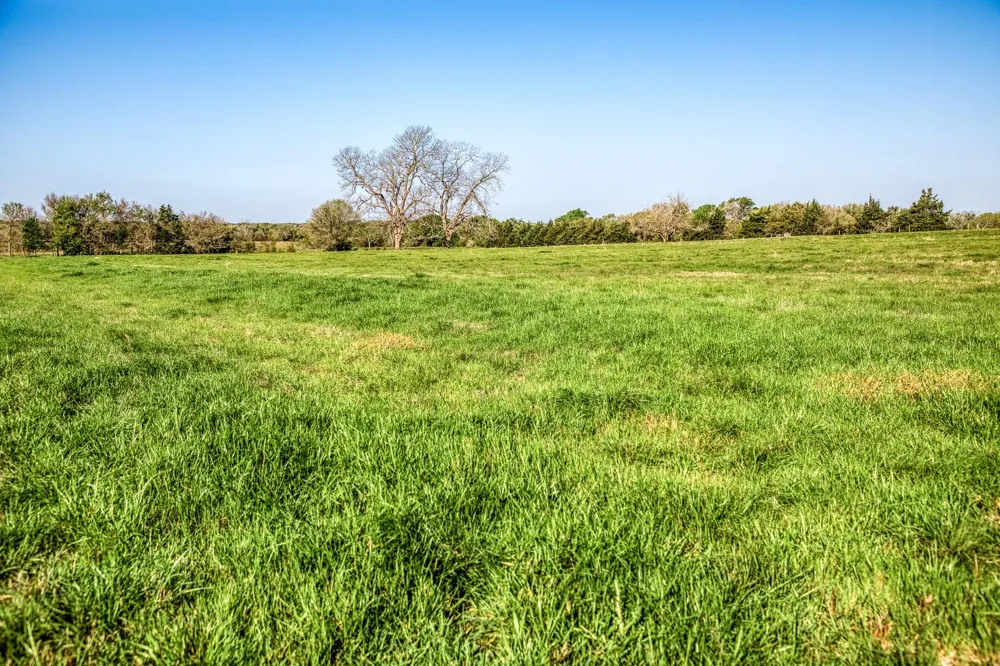 10 Fieldcrest Ln Burton, TX 77835