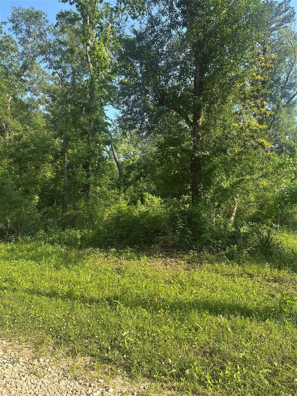 Little Lane Shepherd, TX 77371