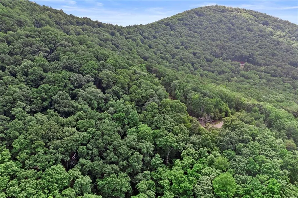 7345 Skyline Drive Big Canoe, GA 30143