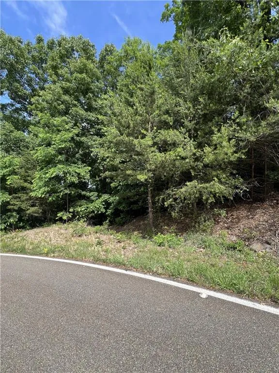 7345 Skyline Drive Big Canoe, GA 30143