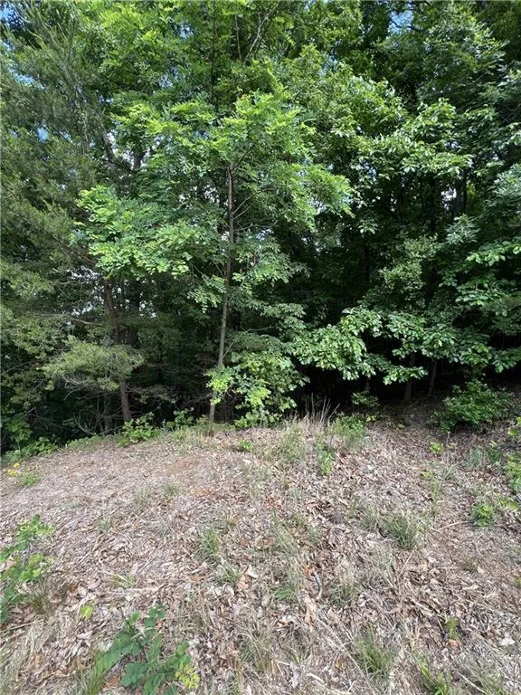 7345 Skyline Drive Big Canoe, GA 30143