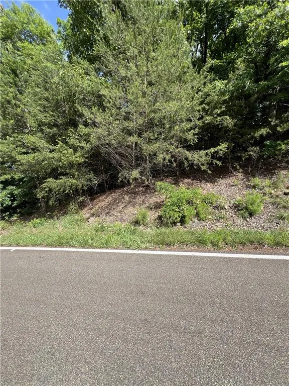 7345 Skyline Drive Big Canoe, GA 30143