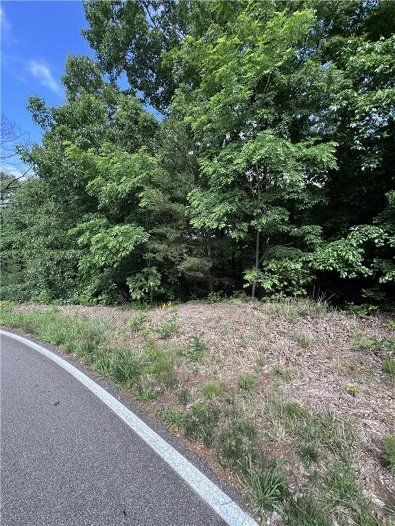 7345 Skyline Drive Big Canoe, GA 30143
