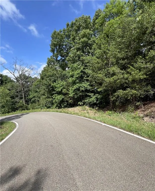 7345 Skyline Drive Big Canoe, GA 30143