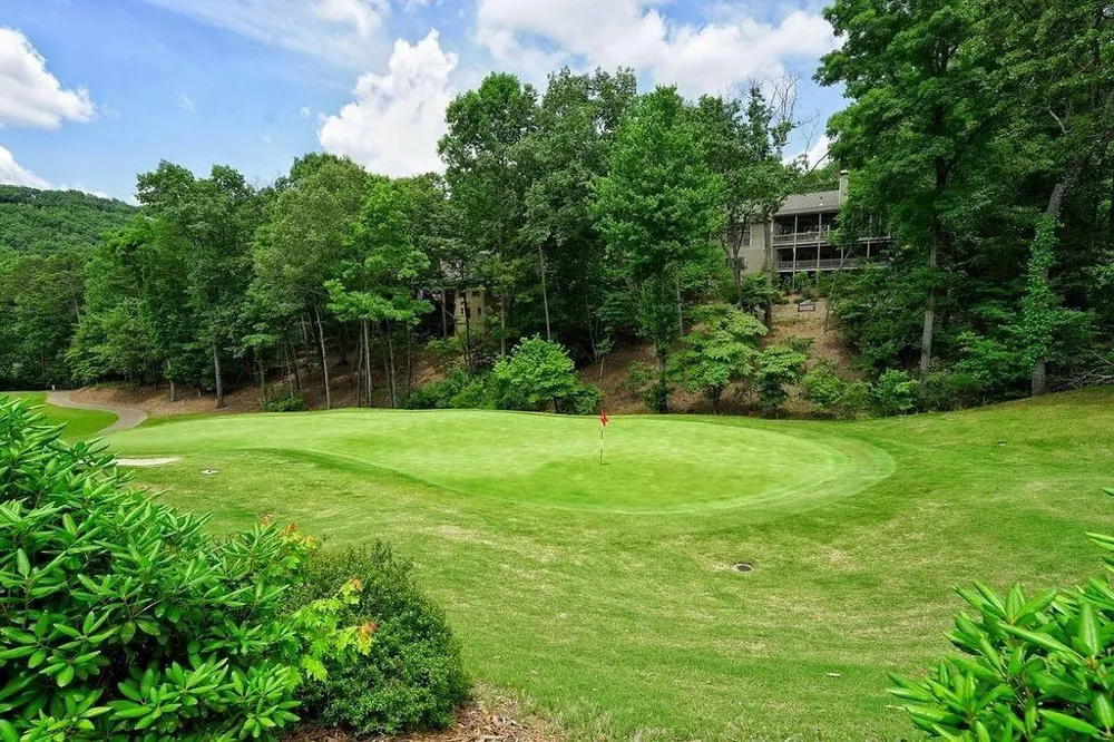 7345 Skyline Drive Big Canoe, GA 30143