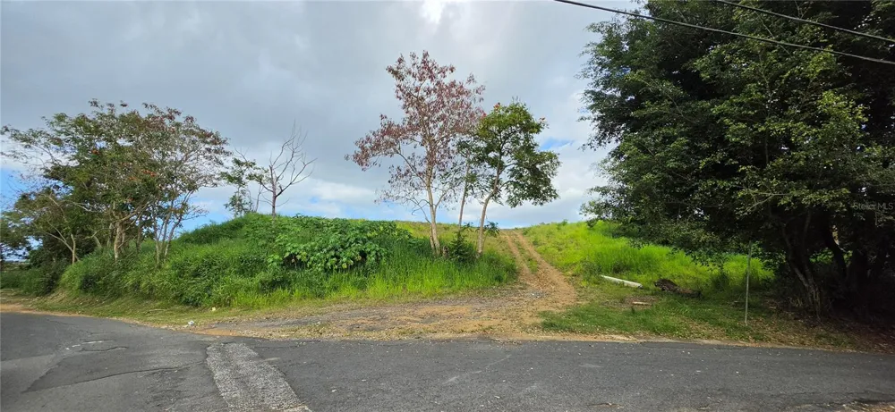 BO MARTIN GONZALEZ CALLE CAMPECHE Carolina, PR 00987