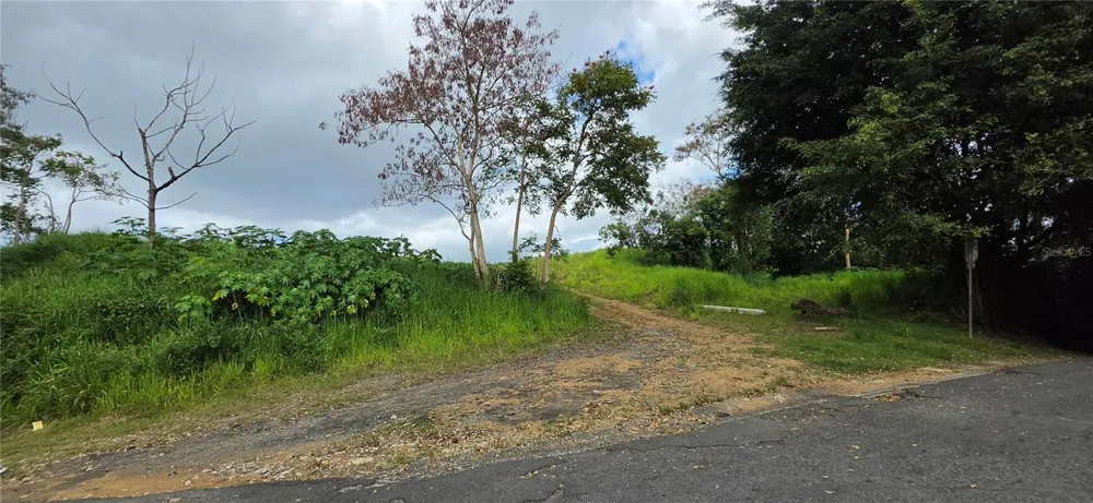 BO MARTIN GONZALEZ CALLE CAMPECHE Carolina, PR 00987