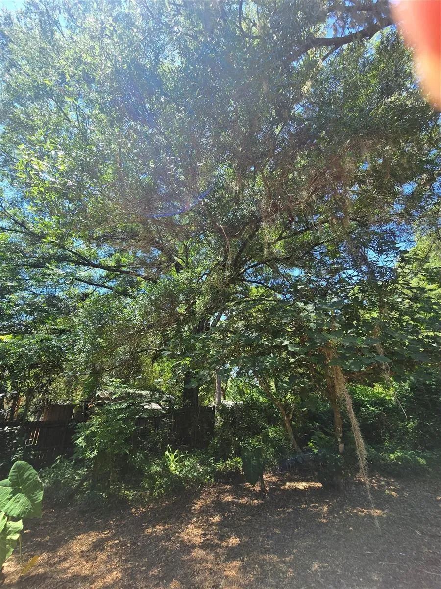 15176 NE 154TH LANE Fort Mc Coy, FL 32134