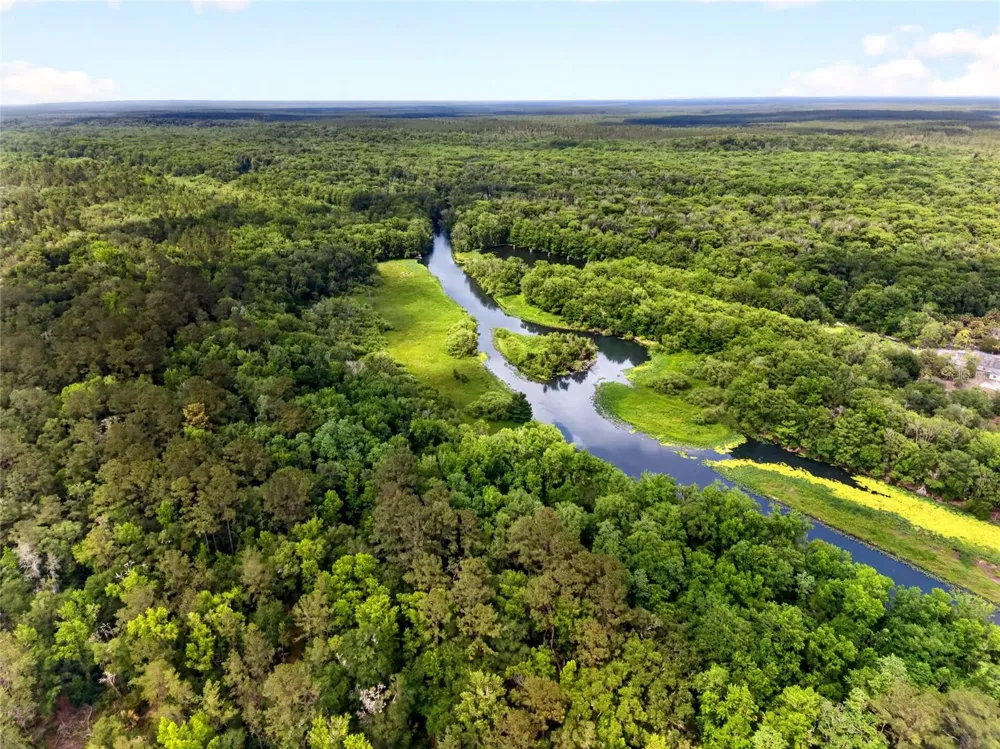 15176 NE 154TH LANE Fort Mc Coy, FL 32134