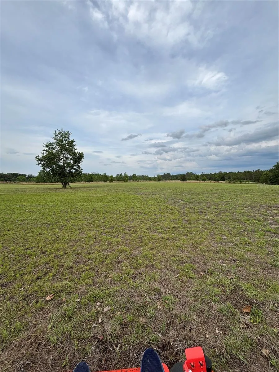 974 SW SHERLOCK TERRACE Lake City, FL 32024