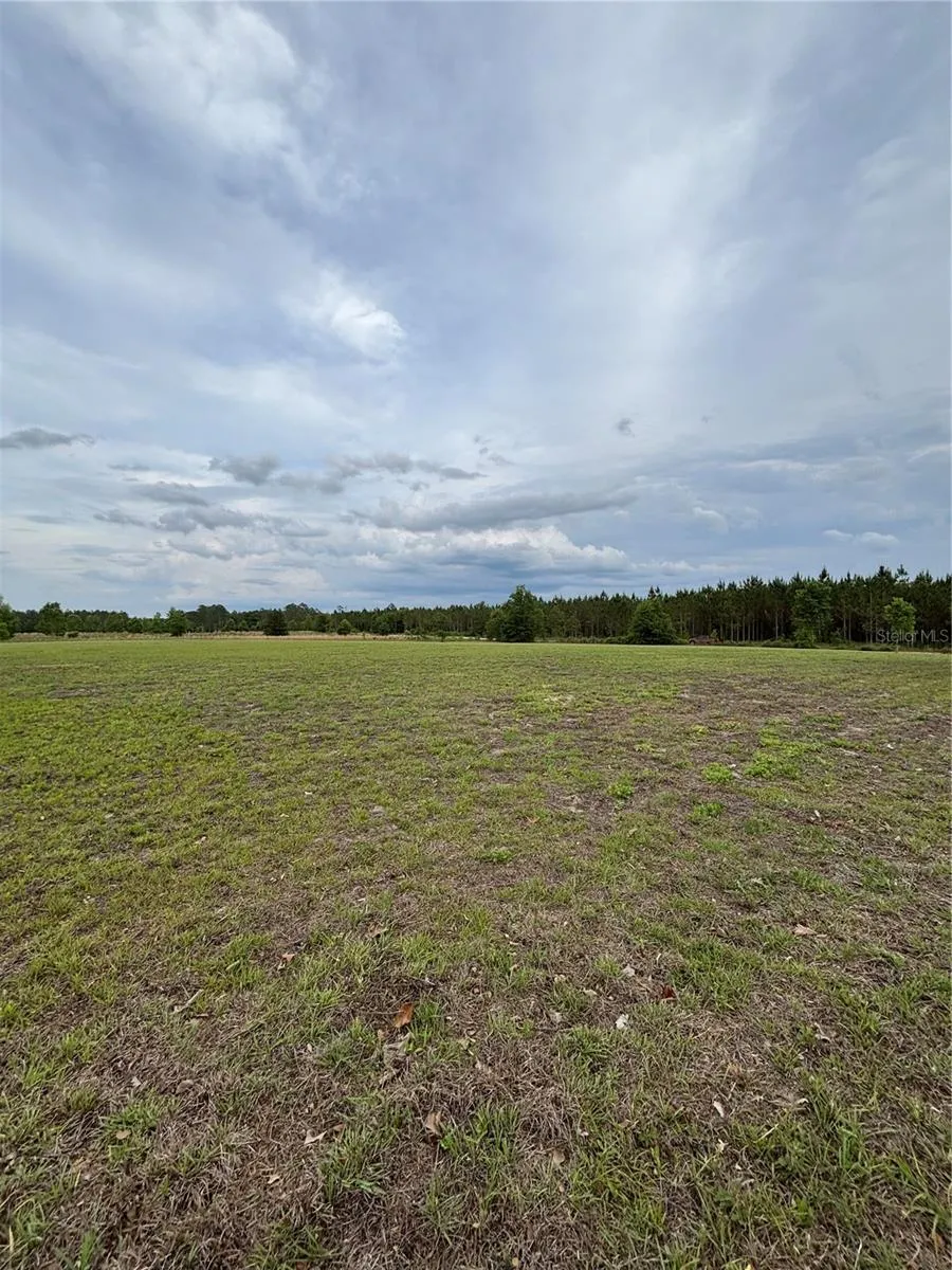974 SW SHERLOCK TERRACE Lake City, FL 32024