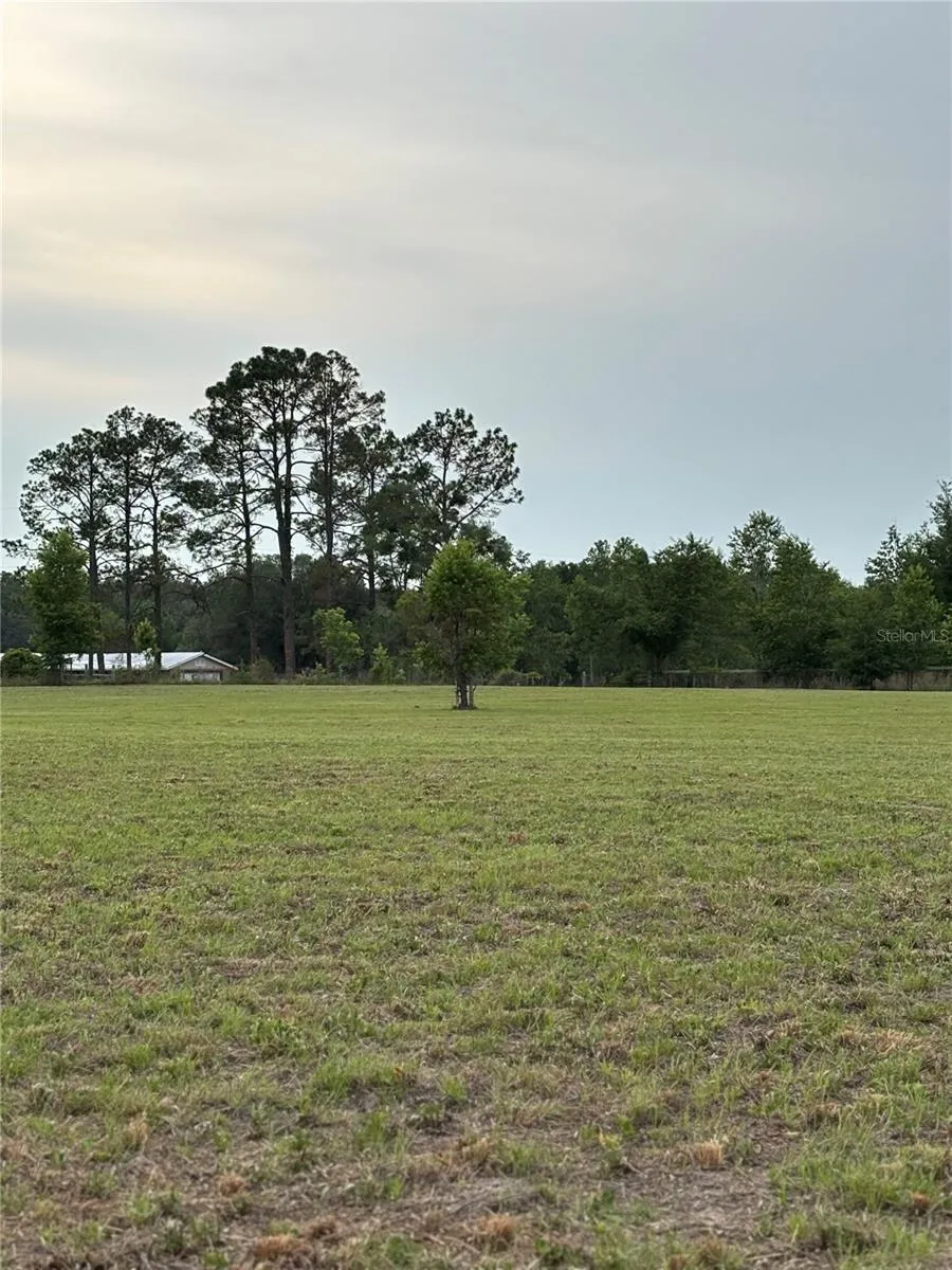 974 SW SHERLOCK TERRACE Lake City, FL 32024