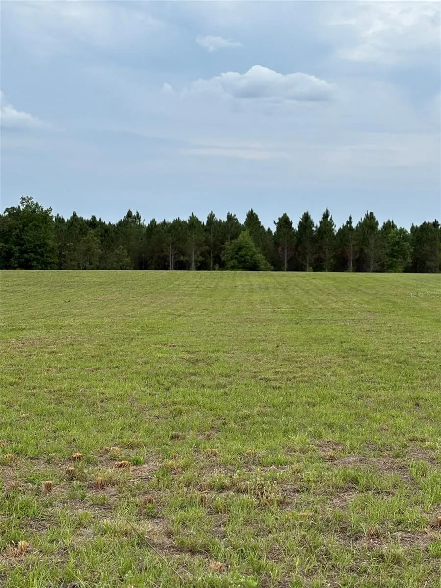 974 SW SHERLOCK TERRACE Lake City, FL 32024