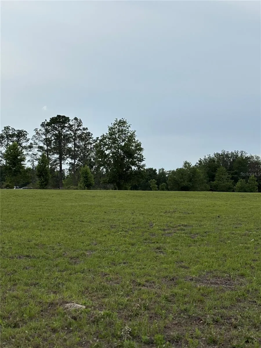 974 SW SHERLOCK TERRACE Lake City, FL 32024