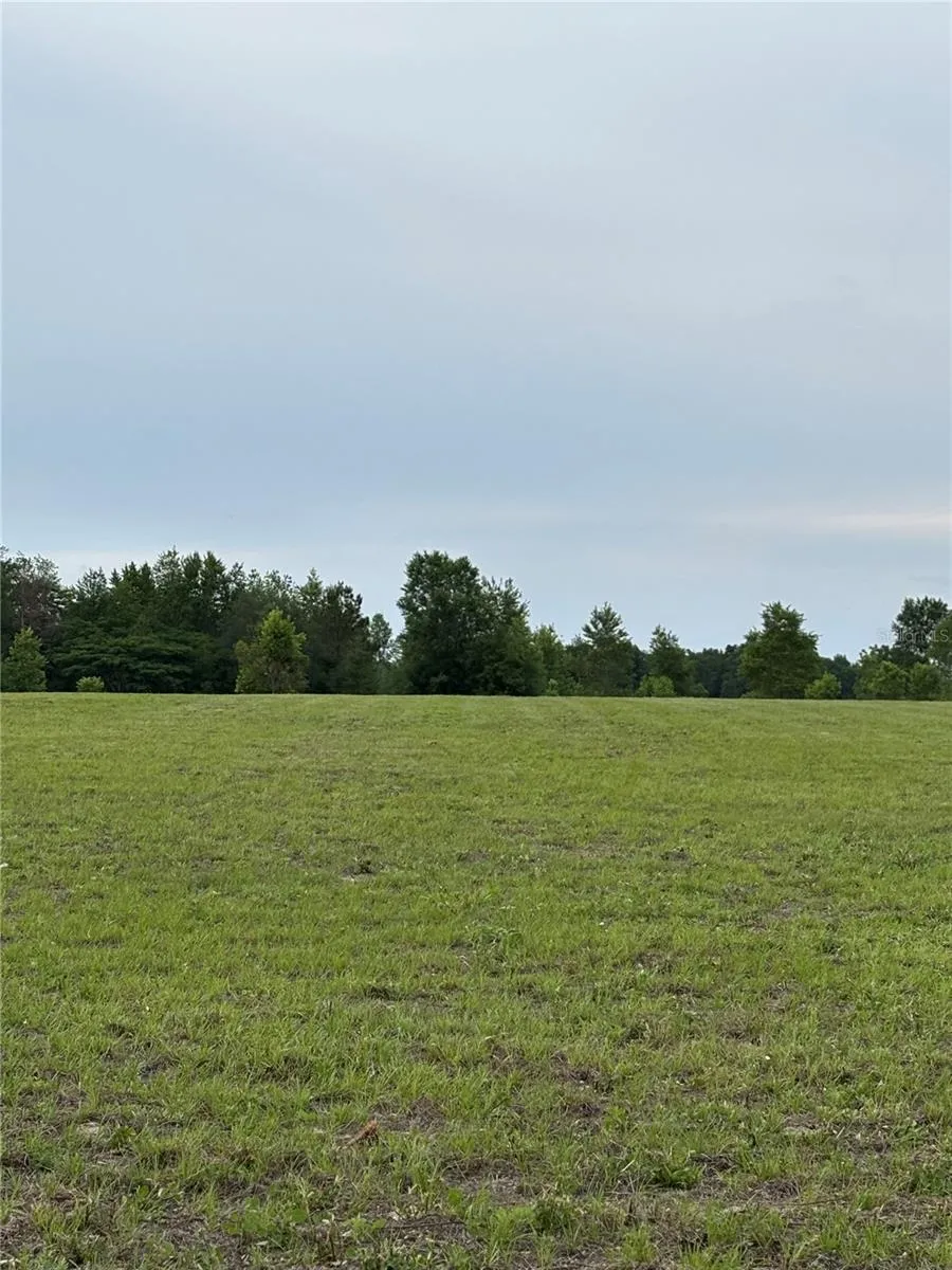 974 SW SHERLOCK TERRACE Lake City, FL 32024
