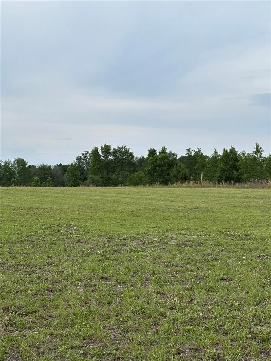 974 SW SHERLOCK TERRACE Lake City, FL 32024