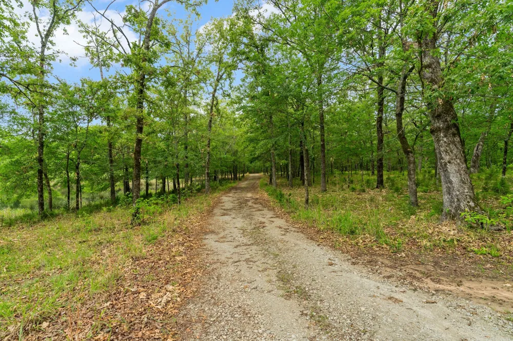 592 RS County Road 1151 Emory, TX 75440