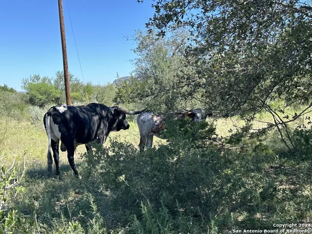 LOT 8 290 ON THE NUECES/State Hwy 55 Uvalde, TX 78801