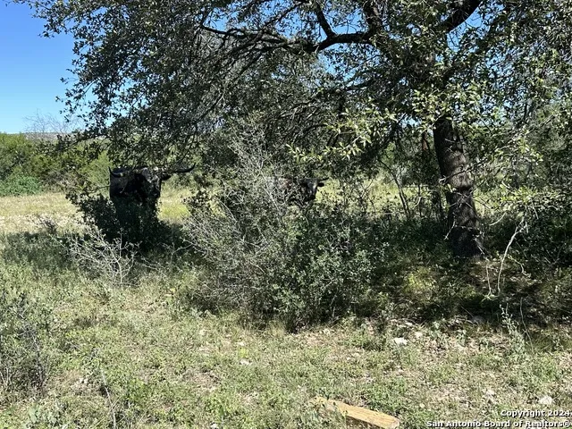 LOT 8 290 ON THE NUECES/State Hwy 55 Uvalde, TX 78801