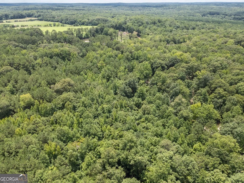460 Pullin RD Locust Grove, GA 30248