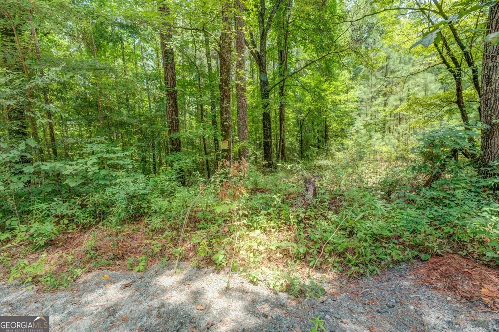 460 Pullin RD Locust Grove, GA 30248