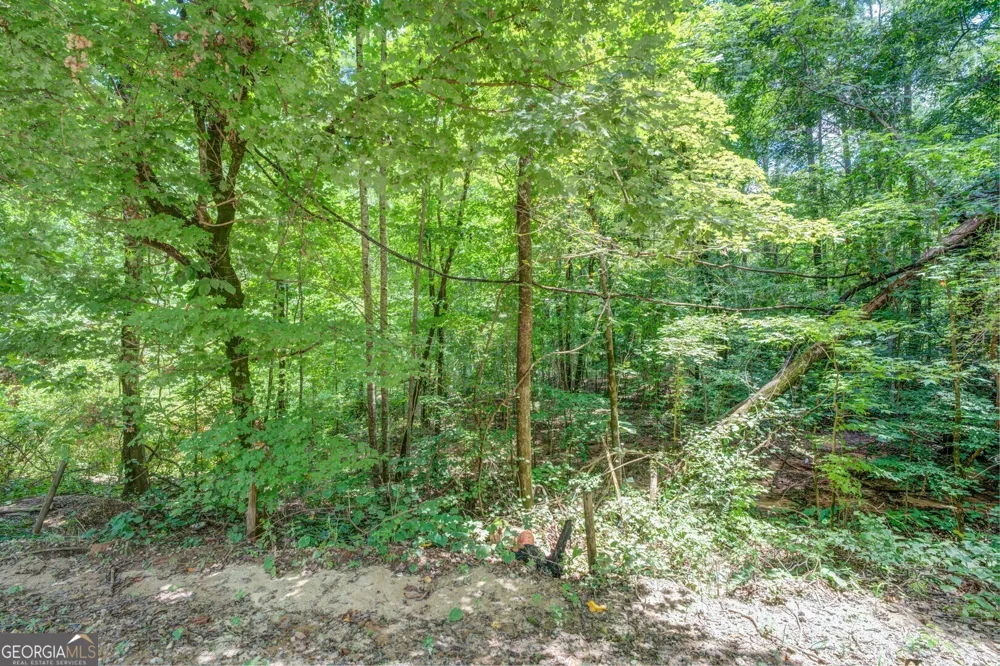 460 Pullin RD Locust Grove, GA 30248