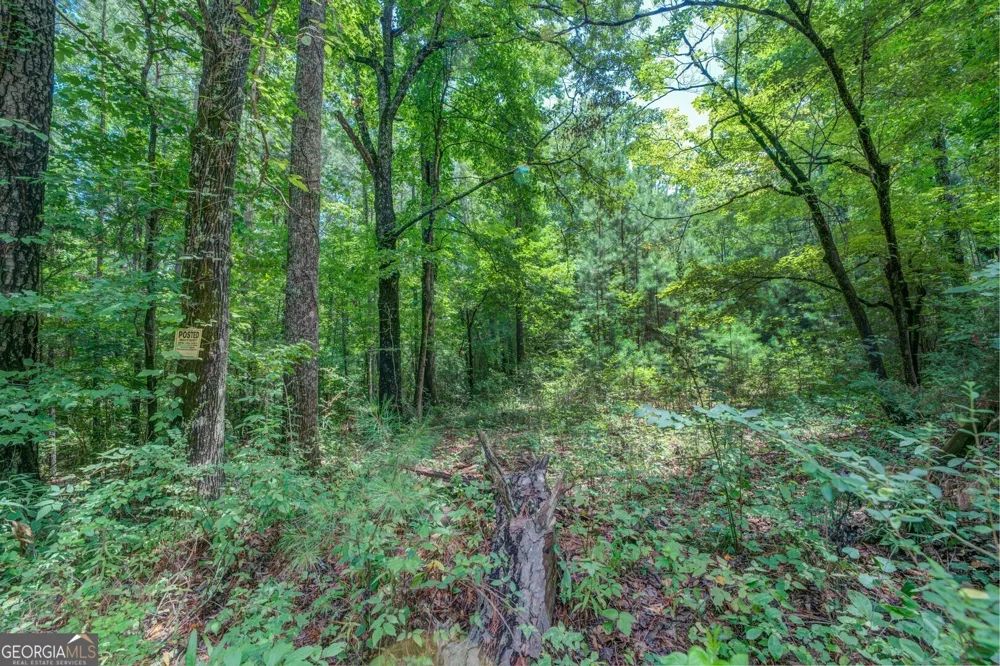 460 Pullin RD Locust Grove, GA 30248