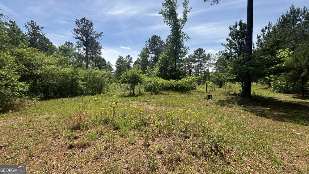 537 Zellner RD Forsyth, GA 31029