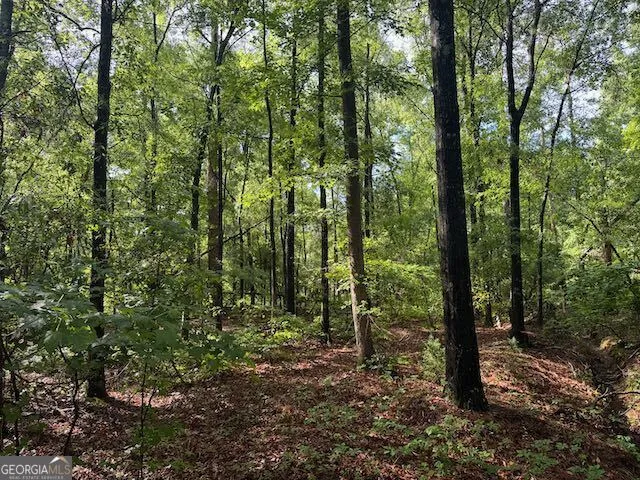LOT 08 Winchester WAY Sandersville, GA 31082