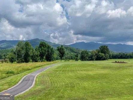 186 Rice Landing CT Hayesville, NC 28904