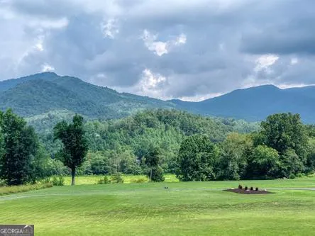 186 Rice Landing CT Hayesville, NC 28904