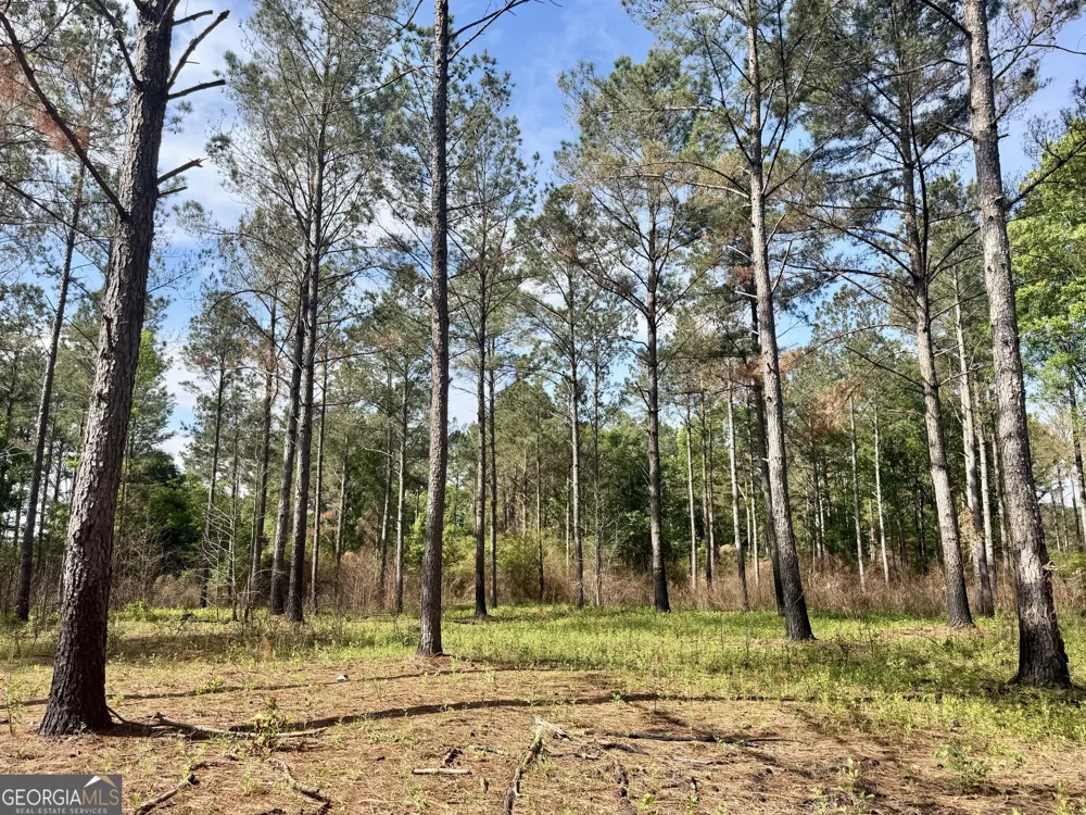 0 Folds RD Pineview, GA 31071