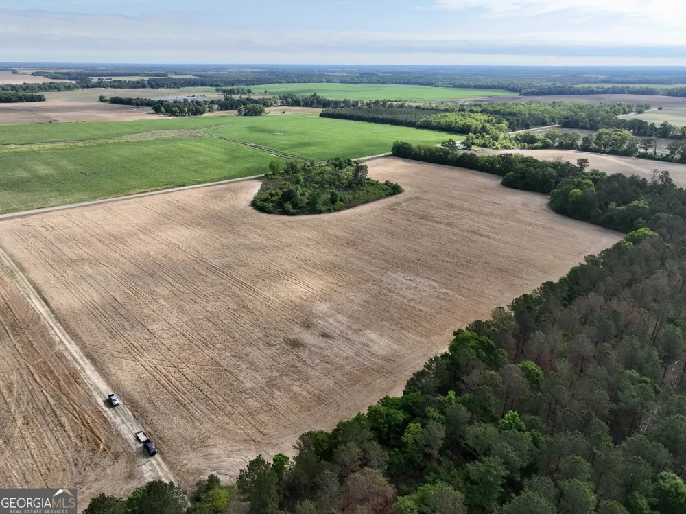 0 Folds RD Pineview, GA 31071