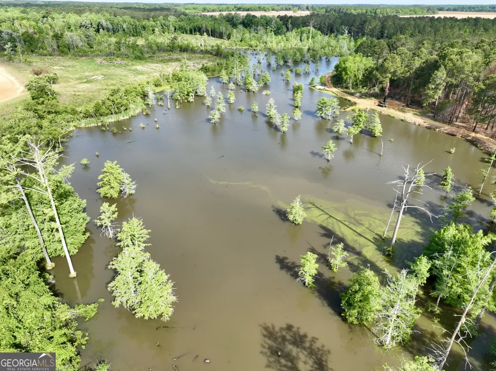 0 Folds RD Pineview, GA 31071