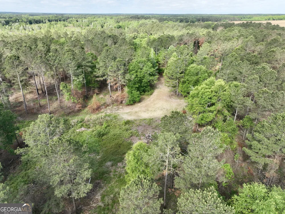 0 Folds RD Pineview, GA 31071