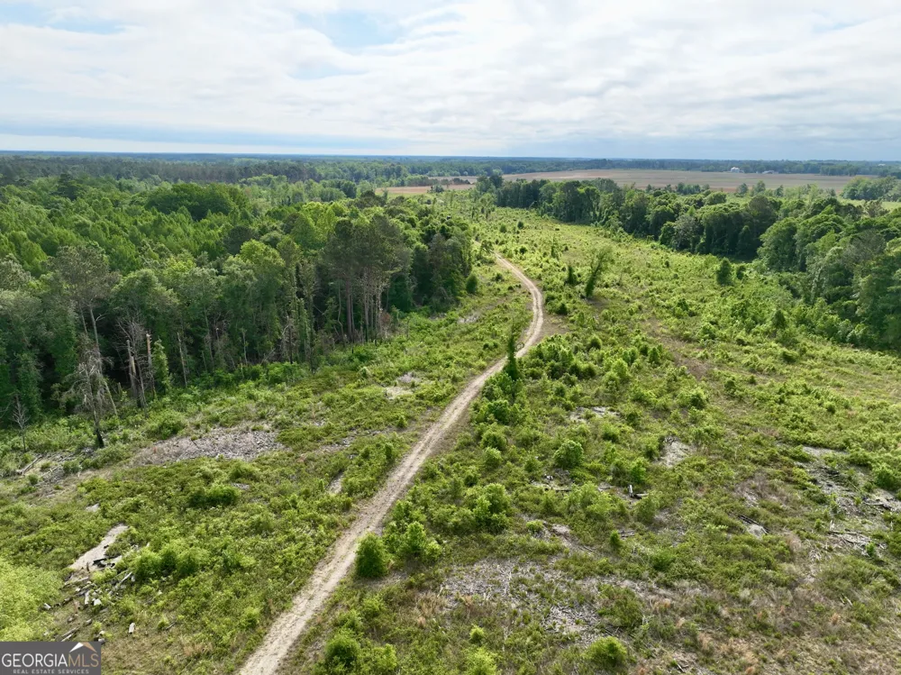 0 Folds RD Pineview, GA 31071