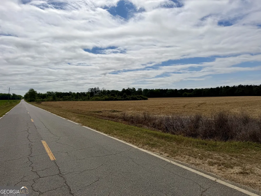 0 Folds RD Pineview, GA 31071