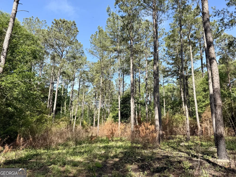 0 Folds RD Pineview, GA 31071