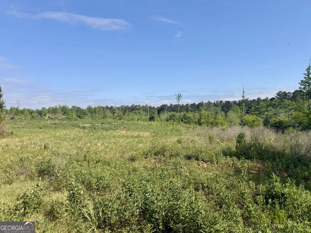 0 Folds RD Pineview, GA 31071