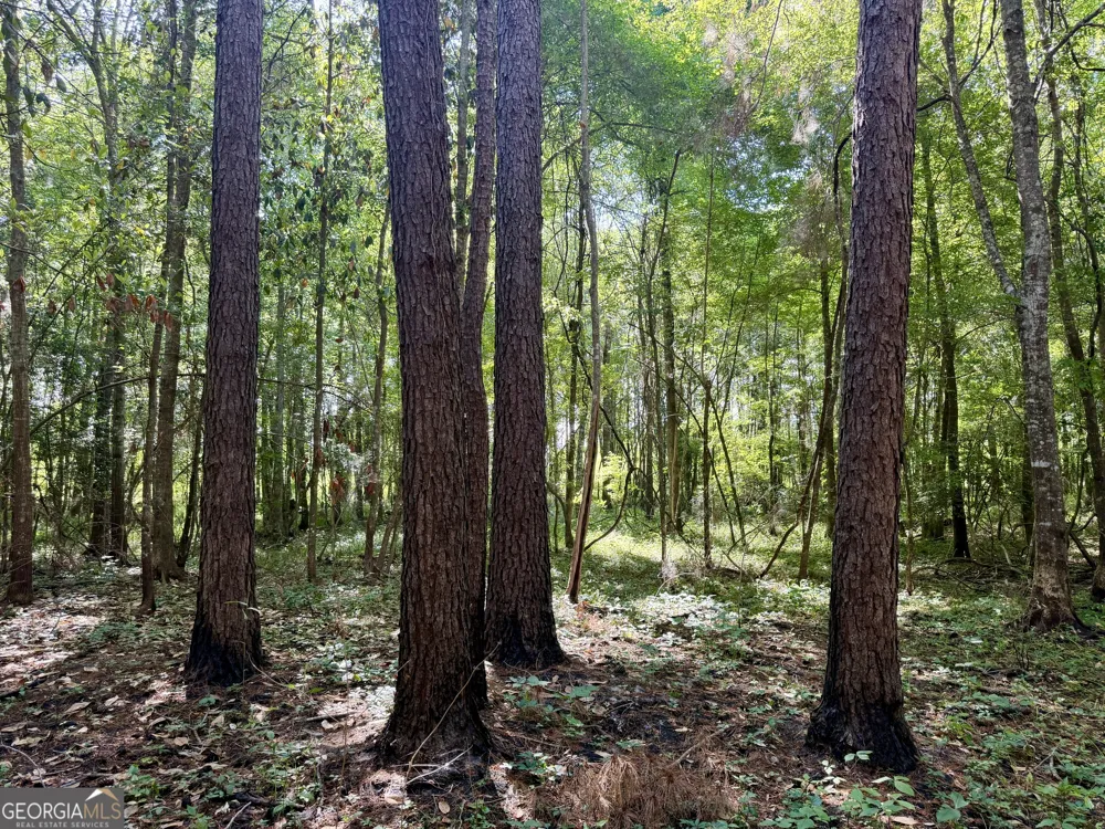 0 Folds RD Pineview, GA 31071