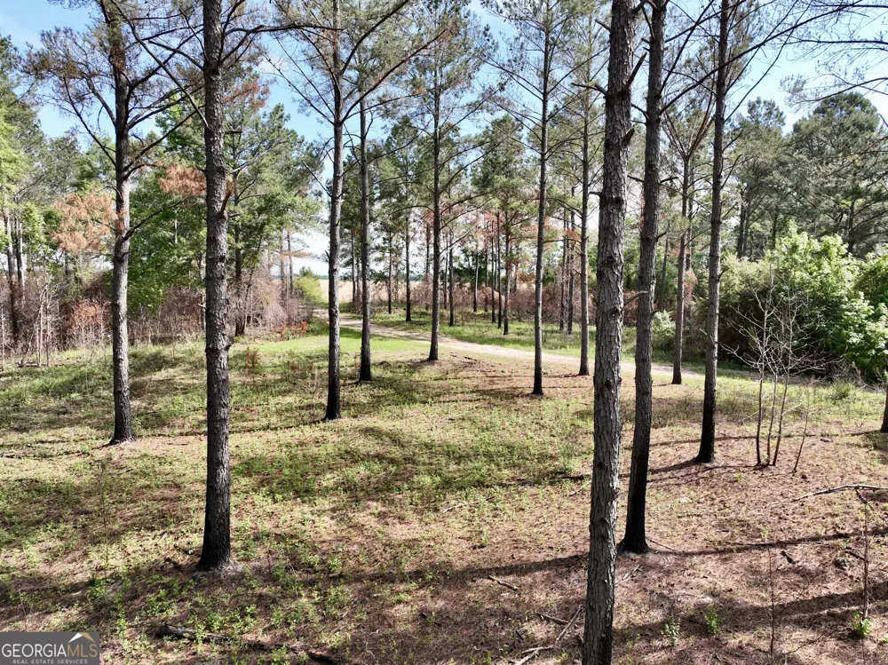 0 Folds RD Pineview, GA 31071