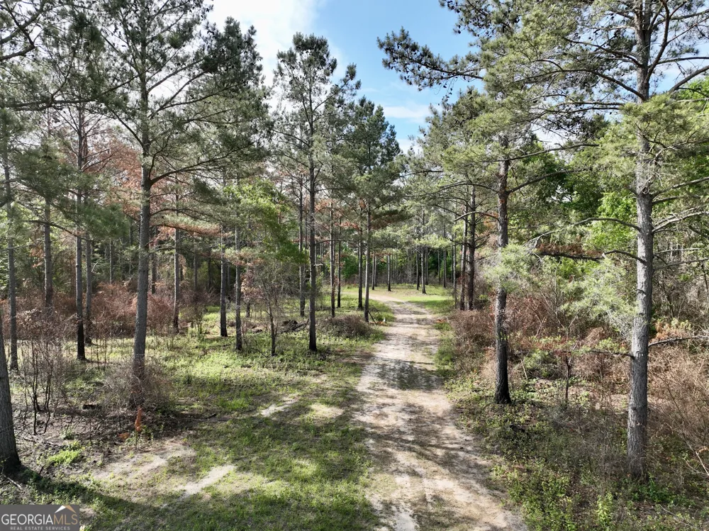 0 Folds RD Pineview, GA 31071