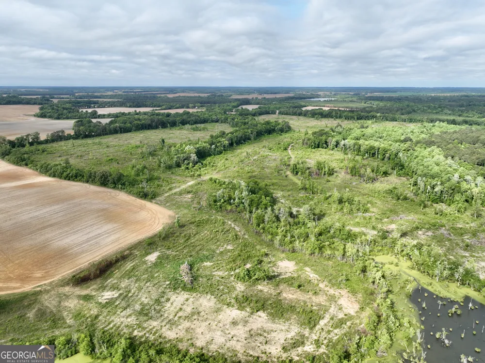 0 Folds RD Pineview, GA 31071